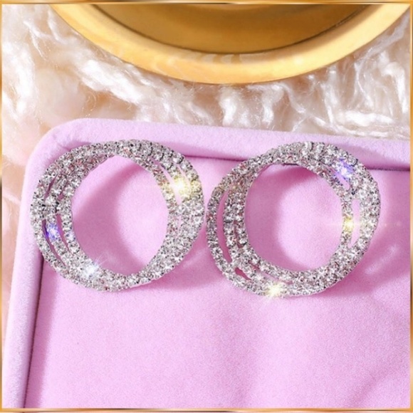 Elegant Round Crystal Silver Earrings
